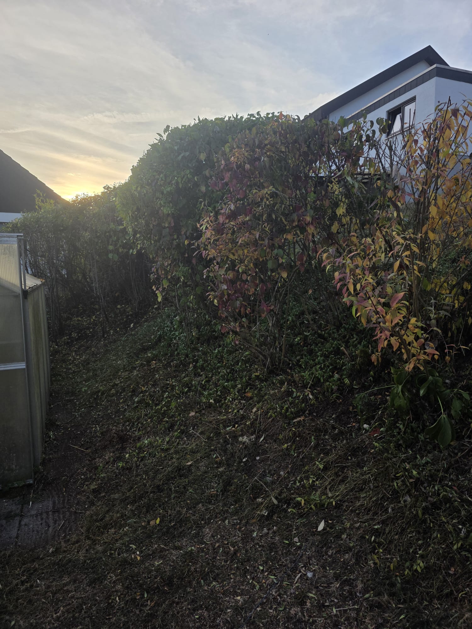 Garden photo 38